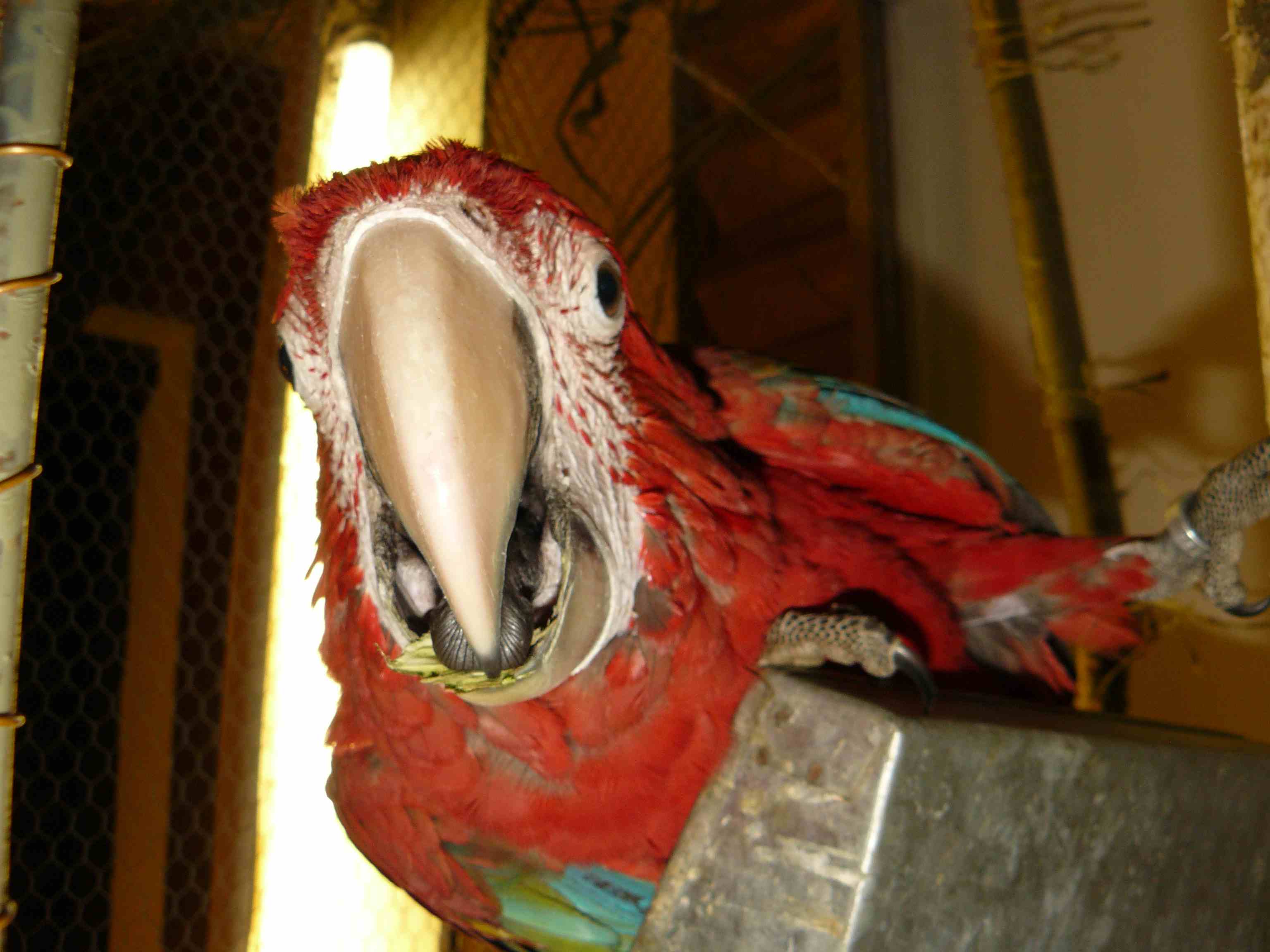 P1160467